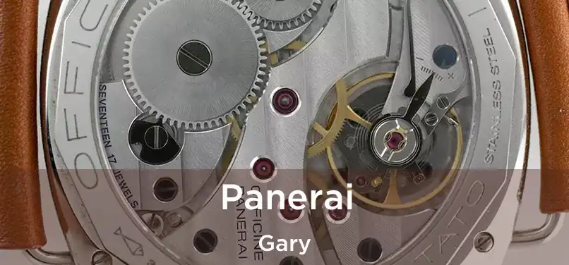 Panerai Gary