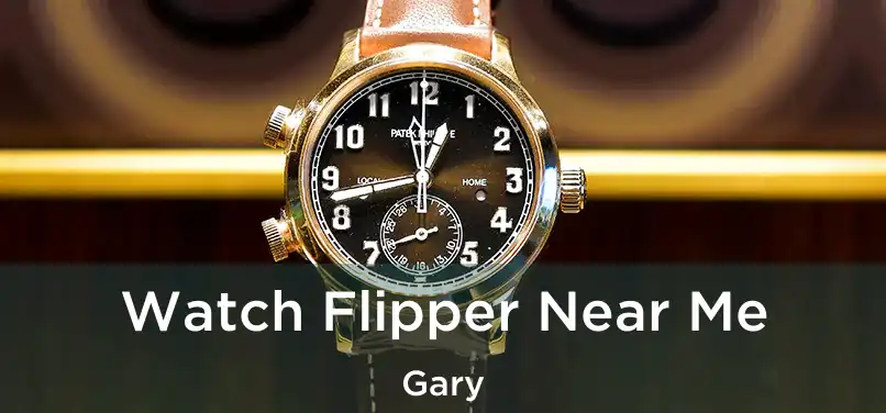 Watch Flipper Near Me Gary